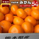 【ふるさと納税】みかん 約5kg 2L～2Sサイズ ミカン 蜜柑 柑橘 九州 熊本県 宇城市 送料無料 【2024年10月下旬～12月下旬発送予定】