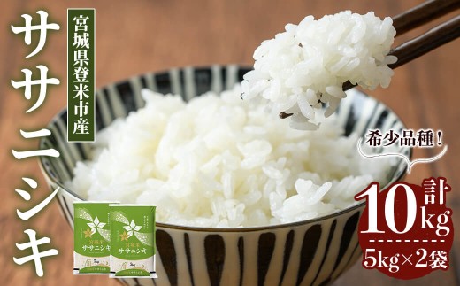 【最短14営業日以内に発送予定】≪令和7年産≫ ササニシキ 10kg (5kg×2袋) 登米市産 お米 おこめ 米 コメ ささにしき 白米 ご飯 ごはん おにぎり お弁当 【登米ライスサービス株式会社】tm149