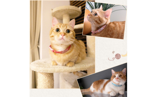 【21〜26cm・ローズピンク】迷子札付き猫首輪 本革製 ネームタグ 猫用品 猫グッズ | 猫用 首輪 迷子札 ペットグッズ ペット用品 セーフティバックル使用 超軽量 愛猫 名入れ オーダー品 おし