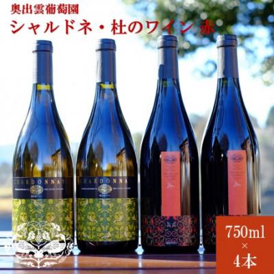 ふるさと納税 雲南市 シャルドネ750ml×2本・杜のワイン赤750ml×2本　辛口白ワイン　辛口赤ワイン　飲み比べ