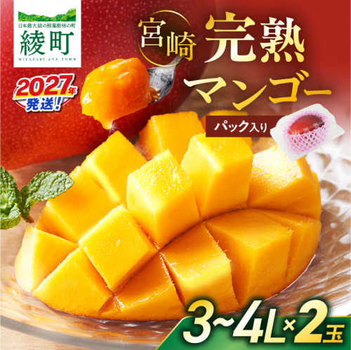 先行予約 数量限定 完熟マンゴー 3～4L×2玉（パック）マンゴー 宮崎 果物 フルーツ くだもの 2027年 国産 高級 マンゴージュース 南国フルーツ おすすめ デザート ギフト 贈り物 プレゼント 贈答 冷蔵 綾町 送料無料 【JA綾町】_A0114-2303