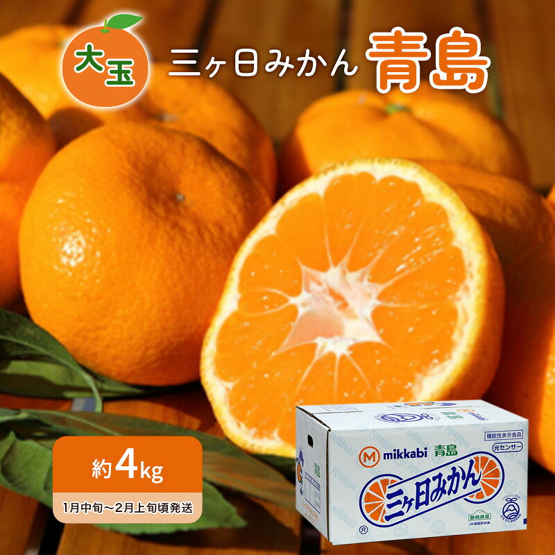 【ふるさと納税】青島みかん 大玉 約4kg 三ヶ日みかん 果物 くだもの フルーツ 旬の果物 旬のフルーツ みかん 蜜柑 ミカン 三ヶ日 青島 柑橘 柑橘類 静岡 静岡県 浜松市　お届け：2026年1月中旬～2月上旬頃