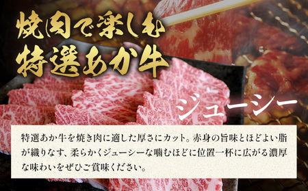 厳選 GI認証 くまもと あか牛 特選 焼肉 500g 桜屋《30日以内に出荷予定(土日祝除く)》 熊本県 産山村 肉 焼肉 GI認証 送料無料