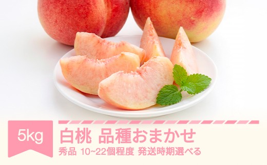 
                  桃 品種おまかせ 白桃 秀品 約5kg (10～22個程度) 2026年産 令和8年産 nf-mohtx5
                