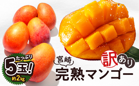 【訳あり】完熟マンゴー 2L×5玉（パック）【宮崎県産 高級 果物 フルーツ 贈答 ギフト 訳あり マンゴー 訳アリ 先行受付 送料無料】