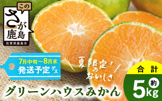 C-2【先行予約】 グリーンハウスみかん　5ｋｇ【2025年7月中旬～8月末まで発送予定】みかん 蜜柑 ミカン ハウスみかん フルーツ 果物 くだもの 果実 冷蔵 フレッシュ 美味しい 人気 ビタミンC 健康 甘み 酸味 完熟 佐賀県 鹿島市 送料無料