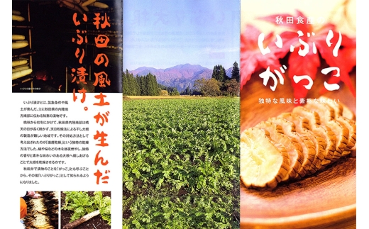 いぶりがっこ きざみ（2パック） ゆうパケット [ご当地グルメ お取り寄せ 名産 漬物 漬け物 沢庵 たくあん つけもの]