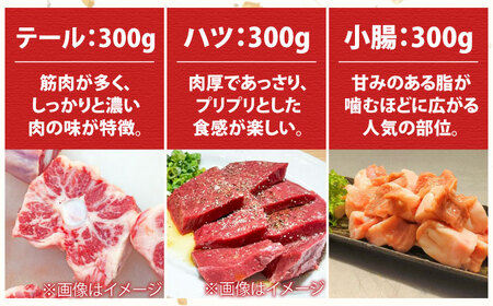 【全6回定期便】佐賀牛6種食べ比べ！ ホルモンバラエティセット 10.8kg 4-5人前  タン・小腸など 吉野ヶ里町/やきとり紋次郎[FCJ105]