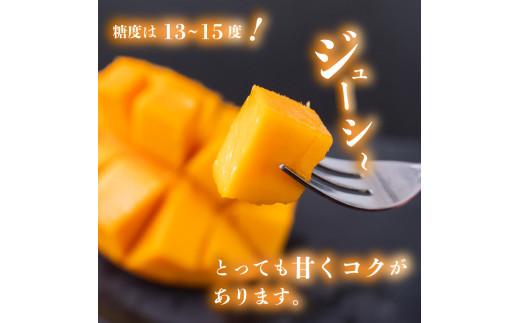 【202505_父の日】【早期予約】《2025年5月中旬から発送》マンゴー 特秀品 2玉(2L) 800g以上 果物 完熟 フルーツ 完熟マンゴー 期間限定 ギフト 贈答用 ふるさと納税マンゴー ご褒