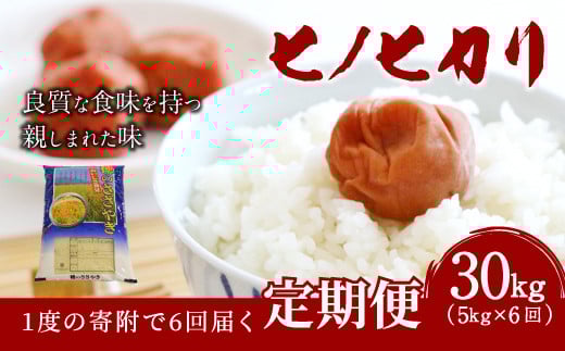 【6ヶ月定期便】大分県産 ヒノヒカリ 5kg×6回 計30kg【2025年11月下旬発送開始】
