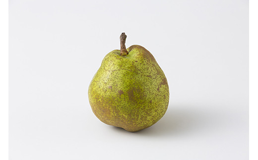 FYN9-598 《2025年先行予約》ご家庭用 山形県産西洋梨 ラ･フランス5kg 2025年11月上旬から順次発送 洋梨 洋なし ラフランス 秋果実 果物 くだもの フルーツ 訳あり 農業者 農家