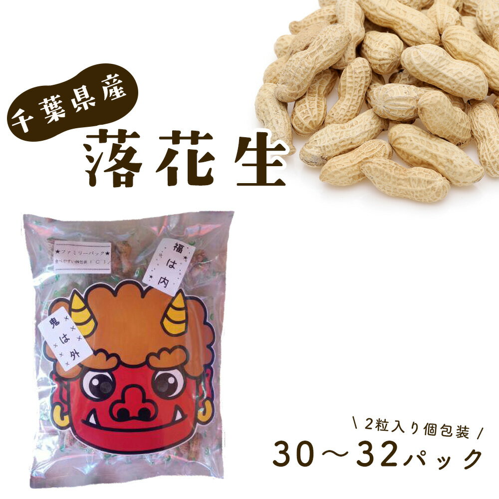 【ふるさと納税】 節分　～鬼面付きファミリーパック～　千葉県産落花生　から付2粒入り　個包装で豆まき！ ／ 節分 豆まき 落花生 個包装 ピーナッツ 殻付き 小分け おやつ 家族イベント 子供向け 鬼のお面付き 食べやすい 後片付け簡単 千葉県 No.087
