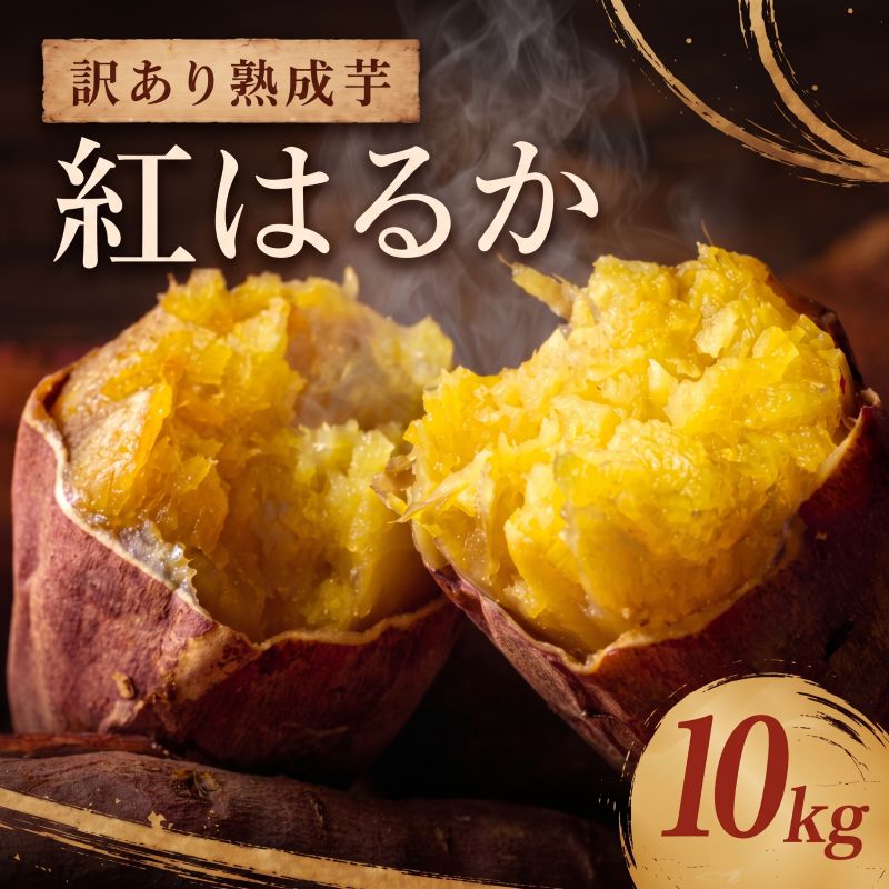 【ふるさと納税】 【2027年1月~3月発送】 訳あり さつまいも 紅はるか 約10kg サツマイモ さつま芋 薩摩芋 甘藷 熟成芋 いも 芋 イモ 焼き芋 やきいも 不揃い 規格外 野菜 おやつ 旬 べにはるか ベニハルカ beniharuka 茨城 鉾田 ほこた 株式会社井川農園