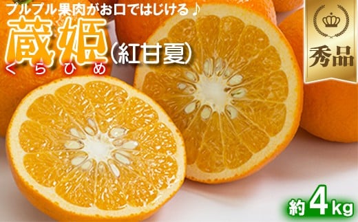 
            今村農園の蔵姫くらひめ（紅甘夏） 約4kg【秀品】 先行予約 4kg 2026年 3月発送 4月発送 贈答 柑橘類 みかん ミカン フルーツ ＜107-032_7＞
          