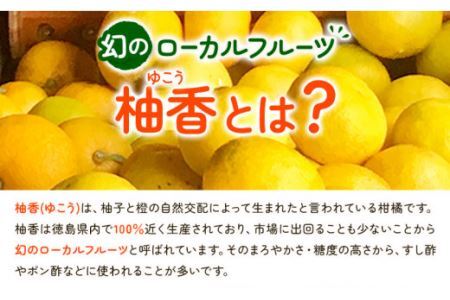 有機ゆこう 果汁 150ml×3本 株式会社阪東食品 《30日以内に出荷予定(土日祝除く)》有機 調味料 柑橘 ゆこう 柚香 瓶 有機JAS認定 徳島県 上勝町 送料無料