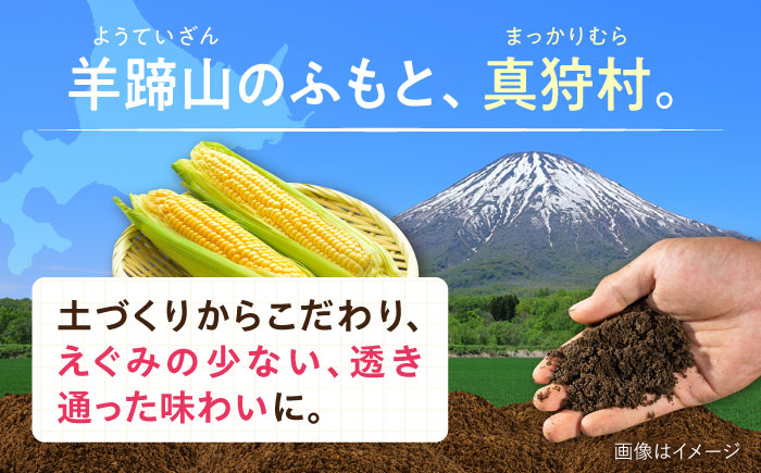 【2026年8月下旬以降順次発送】 白と黄色のとうもろこし 各5kg |  とうもろこし とうきび トウモロコシ コーン 野菜 やさい 北海道 産地直送 |  道の駅 真狩フラワーセンター [BPAM