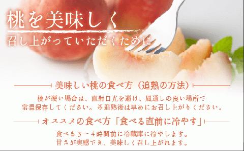 桃 3kg 訳あり 先行予約 2024年 秀品 品種おまかせ 白鳳 , あかつき , なつっこ , いずれか1品種 光センサー選別品 沖縄県への発送不可 2024年8月上旬～下旬発送 長野 飯綱 [1