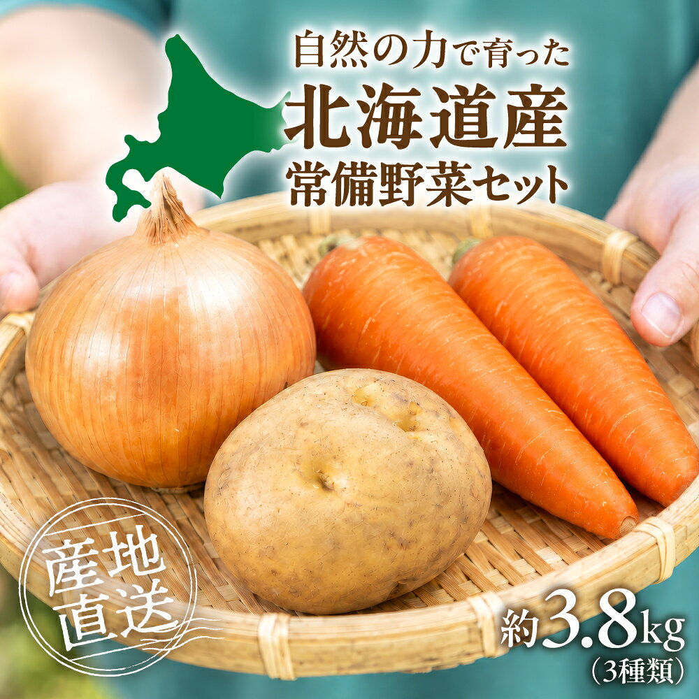 【ふるさと納税】 常備野菜 セット じゃがいも ジャガイモ きたあかり 玉ねぎ たまねぎ にんじん 人参 ニンジン やさい 野菜 夏野菜 詰合せ 生鮮 旬 調理 北海道 札幌市