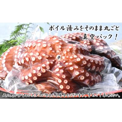 ふるさと納税 国東市 船上活き締め!ゆでたこ丸ごと約1kg(約1〜4杯)_1812R |  | 01