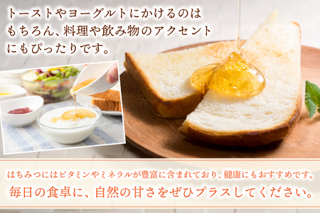 純粋はちみつ 300g×2本（アカシア・百花蜜） (ES001)