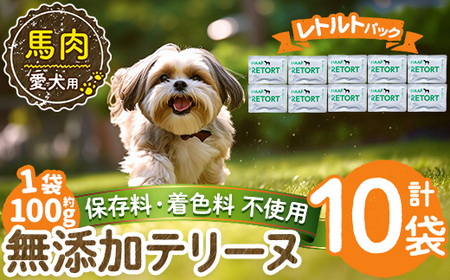 a1087-D ＜保存料・着色料 不使用＞愛犬用無添加テリーヌ レトルトパック 馬テリーヌ10袋(1袋約100g・合計約1kg)【Nフードサービス】姶良市 馬 テリーヌ 犬 ドッグ ペット フード エサ レトルト おやつ ごはん ご飯 間食 ご褒美