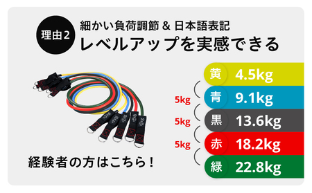 uFit Training Tube Max68.2kg【136010-2】ﾄﾚｰﾆﾝｸﾞ ﾁｭｰﾌﾞ ｴｸｻｻｲｽﾞ ｽﾄﾚｯﾁ 運動 ｺﾝﾊﾟｸﾄ 持ち運び 天然ｺﾞﾑ