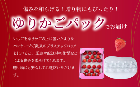  【先行予約】数量限定！佐賀県人気No.1苺”いちごさん” いちご いちご いちご いちご いちご いちご いちご いちご いちご いちご いちご いちご いちご いちご いちご いちご いちご いち