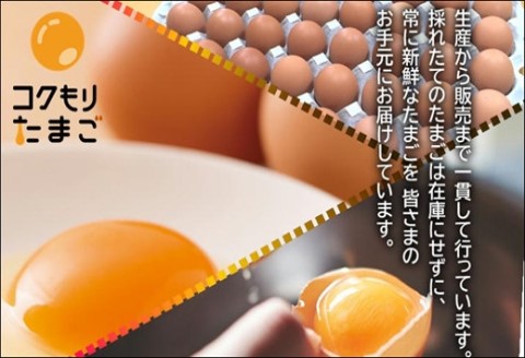 養鶏場直送！松浦の赤たまご『コクもりたまご』大きめサイズ70個+破卵保障10個【B4-059】