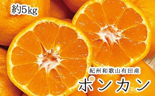 紀州和歌山有田産ポンカン　5kg	※2025年2月上旬頃〜2月中旬頃に順次発送（お届け日指定不可）【uot722】