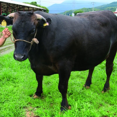 博多和牛サーロインステーキ　200g×5枚(筑後市)【配送不可地域：離島】