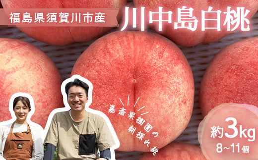 ＜先行受付＞ 嘉斎果樹園の桃「川中島白桃」約3kg（8～11個