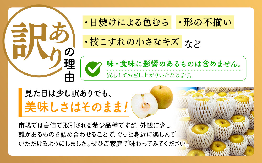 東商果樹園 新甘泉 (訳あり) 3kg【8月下旬以降お届け】