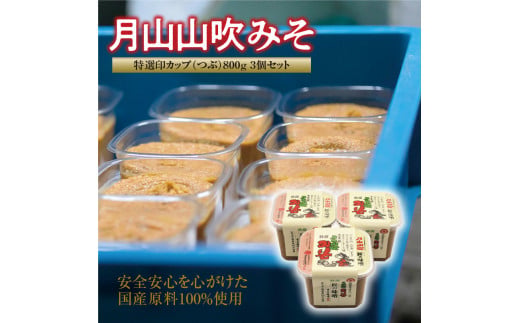 【現代の名工】月山山吹みそ 特選印カップ（つぶ）800g×3個セット　011-G-MT006