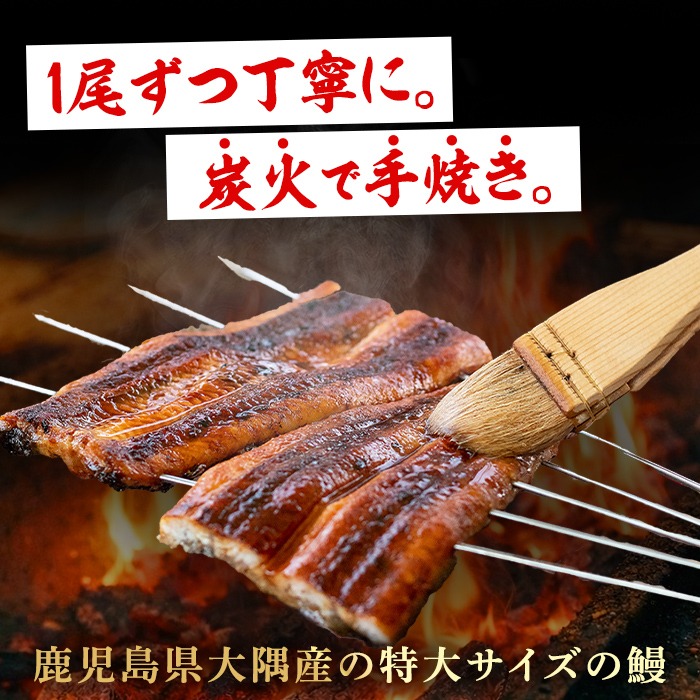 【0174321a】東串良町のうなぎ炭火蒲焼、白焼(無頭)(2尾・計約300g・タレ、山椒付) うなぎ 高級 ウナギ 鰻 国産 白焼き 鹿児島 ふるさと 人気【アクアおおすみ】