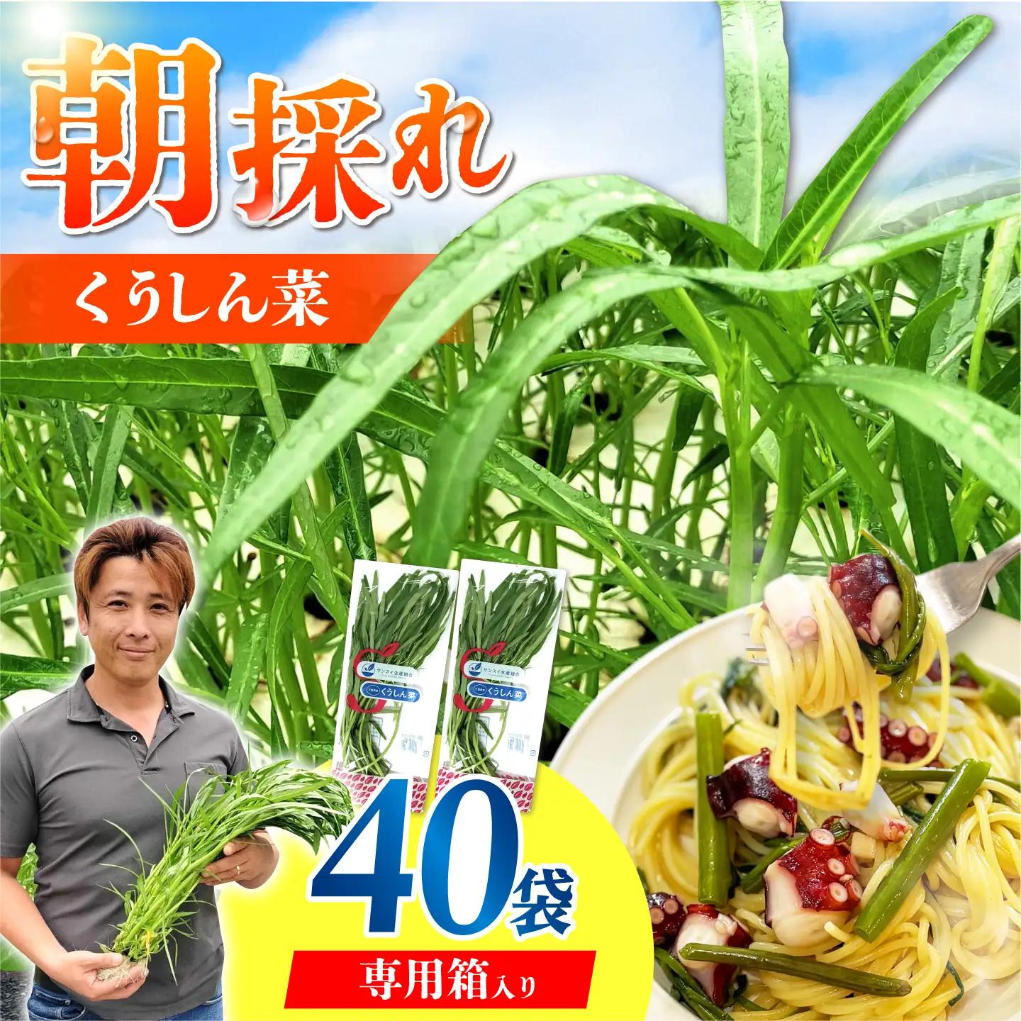 新鮮朝採れ くうしん菜 大容量パック 40袋 / 葉物野菜 / 亀山市 / グリーンハウス吉田[AMCD002]