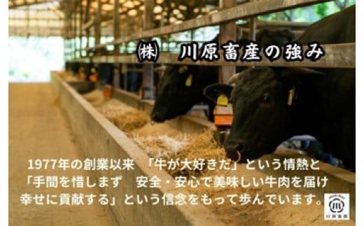 伊万里牛切落とし 900g 【川原畜産】 208-J1681