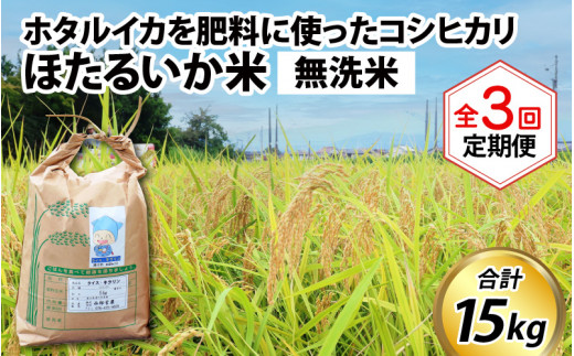 ほたるいか米（無洗米５kg）×3回 計15kg【3ヶ月定期便】