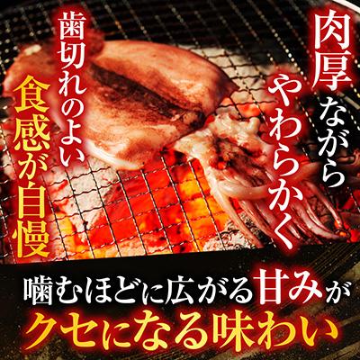 ふるさと納税 根室市 根室海鮮市場<直送>【北海道産】いか一夜干し2枚 G-28079 |  | 02