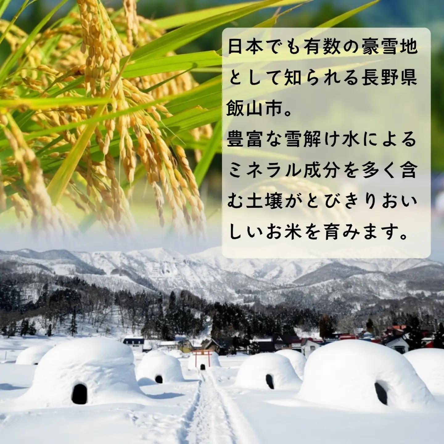 【新米予約】《定期便》＼ 2027年1月より6回 ／   10㎏ 6回 特別栽培米 「かまくらの里 コシヒカリ」