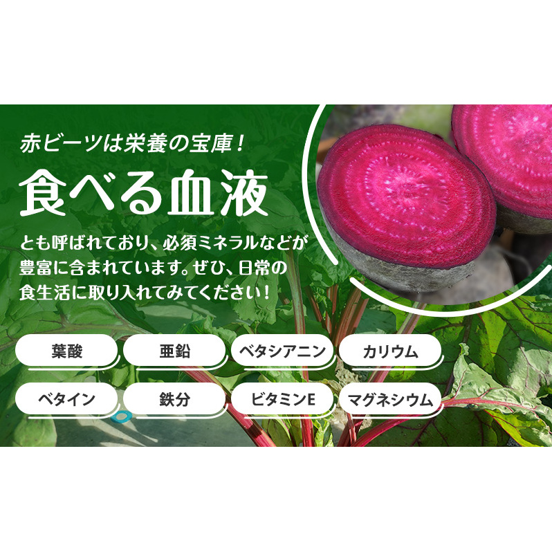 訳あり 賞味期限間近 ビーツ ドレッシング 120ml 2本 フードロス削減 生産者応援 北海道 上富良野町 かんのファーム