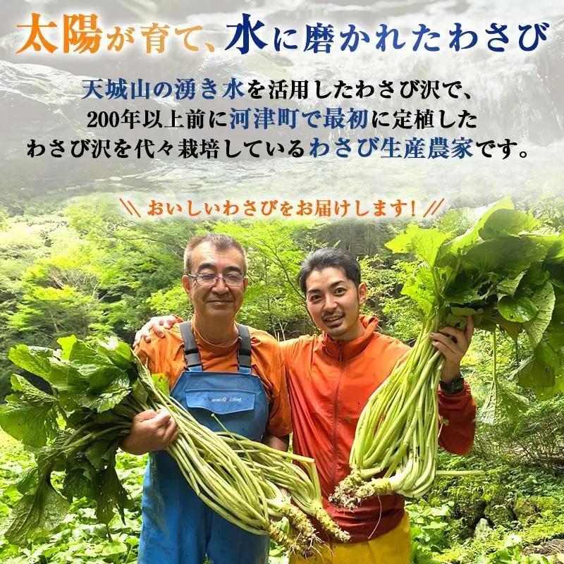 わさび セット 池 生わさび わさび漬け 手作り わさび