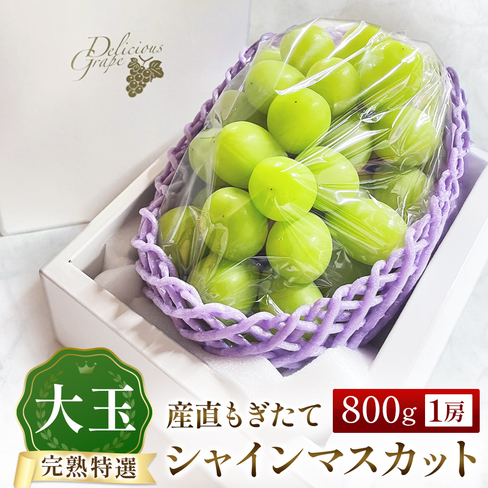 【A061】【令和8年発送・先行予約】大玉 特選 シャインマスカット 800g