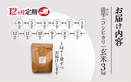 ＜12ヶ月定期便＞＜令和7年産＞ 京都夜久野産 清雫(せいな) コシヒカリ 玄米 (3kg×12回) ふるさと納税 福知山市 令和7年度産 先行 定期便 選べる 容量 回数 玄米 夜久野 京都 【fc
