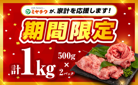 宮崎牛モモスライス(400g×2セット 計800g)　肉 牛 牛肉 宮崎牛