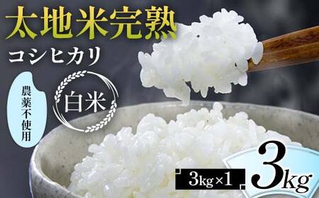 2024年産 農薬不使用 太地米完熟 【こしひかり】 白米 3kg ブランド米 お米 精米 白米 人気 F7X-0328
