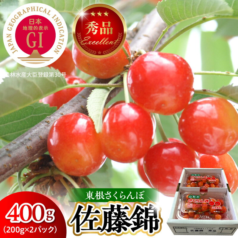 【ふるさと納税】【 2027年産 先行予約 】 GI 東根さくらんぼ 佐藤錦 秀品 400g ( 200g × 2P ) Lサイズ以上 | さくらんぼ サクランボ フルーツ 果物 くだもの 期間限定 冷蔵配送 特産 産地直送 送料無料 人気 おすすめ 山形 東根市