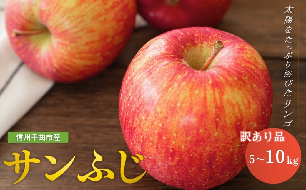
                  【2026年先行予約】りんご サンふじ 家庭用 訳あり 約5kg / 10kg｜ リンゴ 林檎 フルーツ 果物 信州りんご 長野県産 千曲市 信州
                