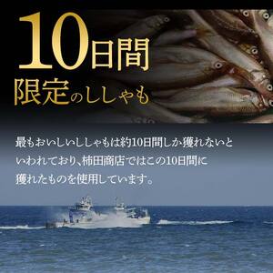 本場くしろ産 ししゃもメス40尾入り！ 本ししゃも 魚 ししゃも 魚好きのメス プチプチたまごのメス 魚介 グルメ シシャモ 北海道産 国産 魚 魚介 海の幸 F5F-0137