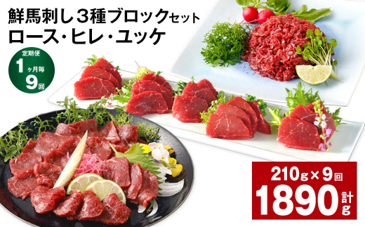 【1ヶ月毎9回定期便】鮮馬刺し 3種ブロックセット（ロース・ヒレ・ユッケ）
