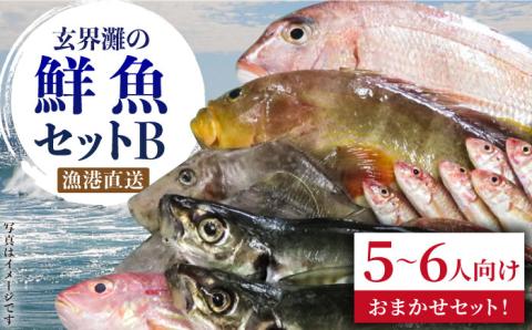 福吉漁港直送！玄界灘鮮魚セットB （5,6人向け） 糸島 【福ふくの里】 [ALD002]